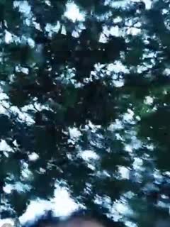 气质良家少妇直播勾搭个像领导模样的胖大叔宾馆开房短鸡巴搞两下就射了1 气质良家少妇直播勾搭个像领导模样的胖大叔宾馆开房短鸡巴搞两下就射了1