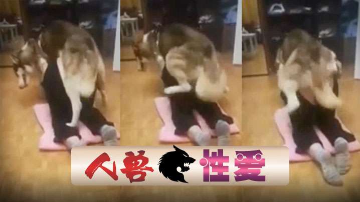 【国产人兽】狗狗后入抽插爽的有插了几次 【国产人兽】狗狗后入抽插爽的有插了几次
