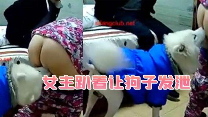 【国产人兽】女主趴着让狗子发泄 老公还在一边帮忙 【国产人兽】女主趴着让狗子发泄 老公还在一边帮忙