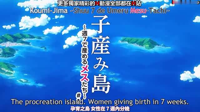我想看的,子岛上 我想看的,子岛上